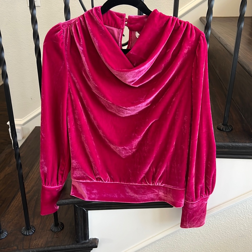 Anthropologie Pink Velvet Top